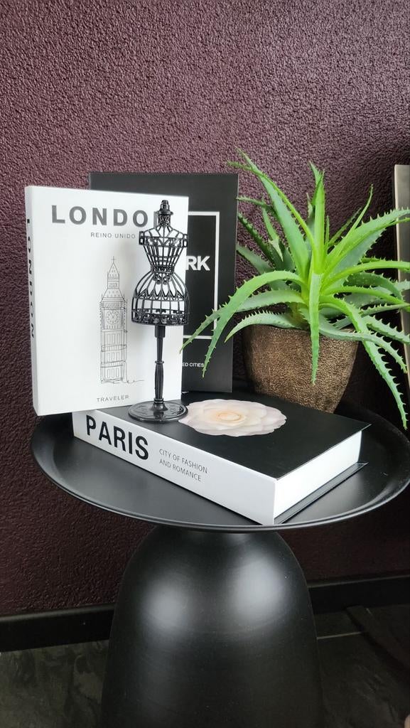 Set van 3 mooie decoratie boeken en art paspop mode, Ophalen of Verzenden, Nieuw