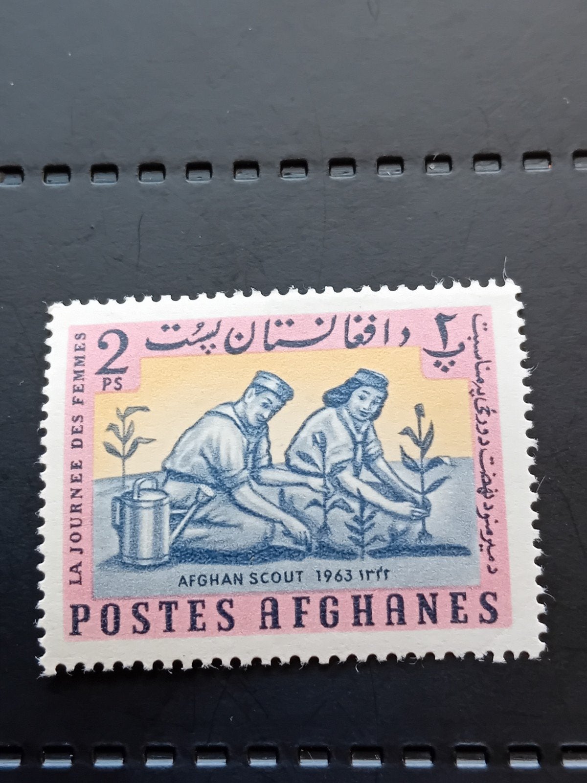 Afghaanse postzegel 1963 - Afghan Scout - Vrouwendag, Postzegels en Munten, Ophalen of Verzenden