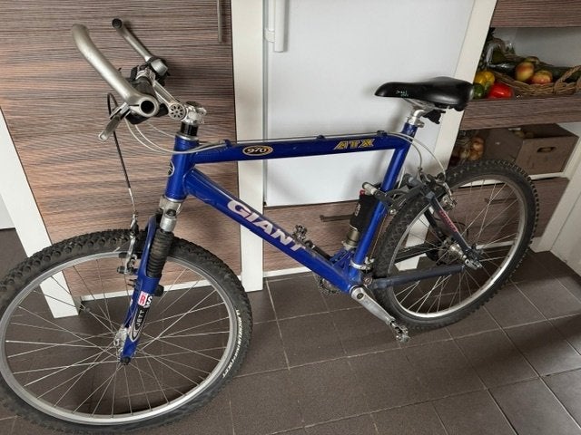 mountainbike voor de echte liefhebber, Ophalen, Gebruikt, Giant, 53 tot 57 cm