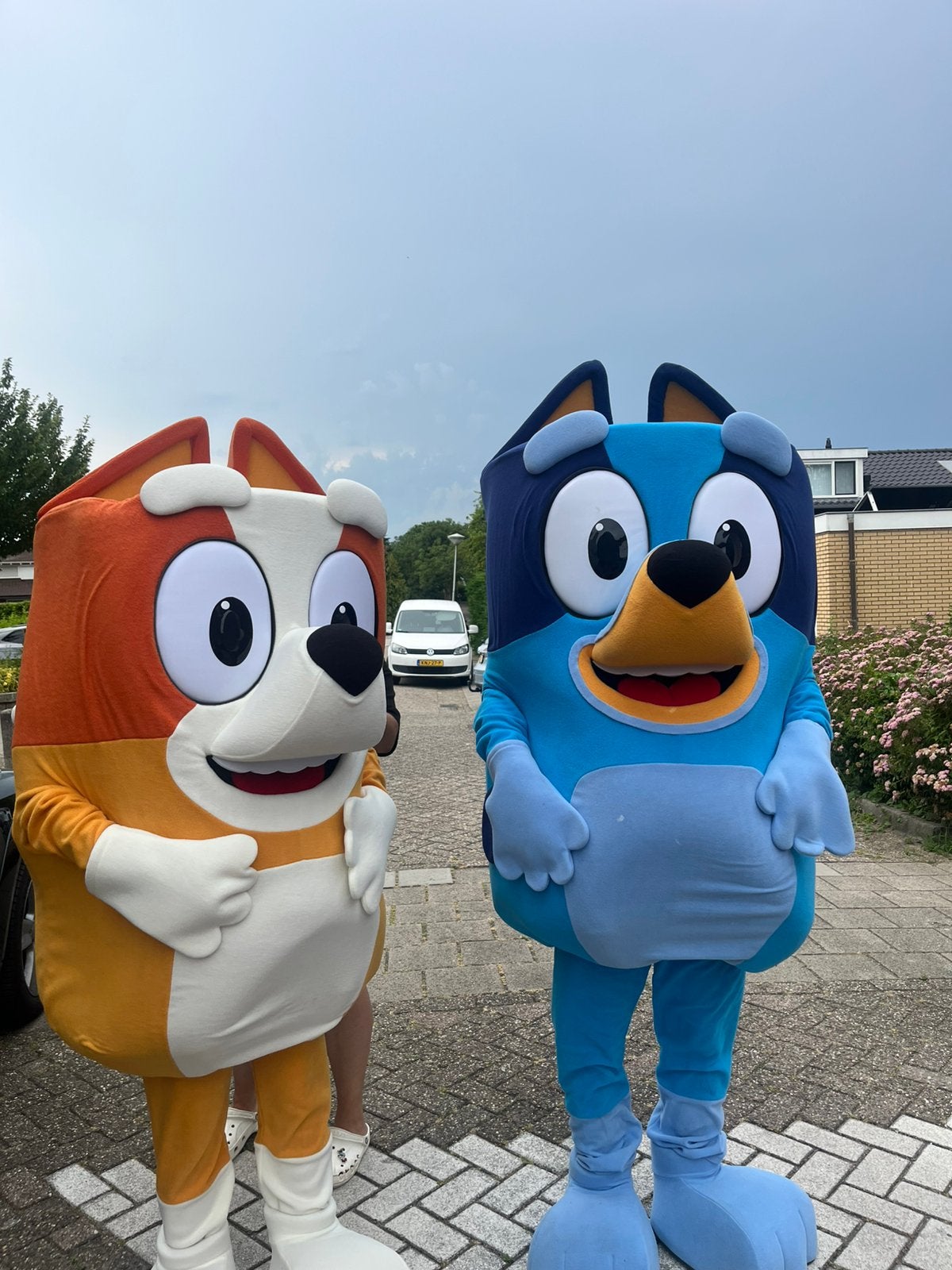 BLUEY & BINGO MASCOTTE VERHUUR, Hobby en Vrije tijd, Feestartikelen | Verhuur, Zo goed als nieuw, Verjaardag, Ophalen of Verzenden