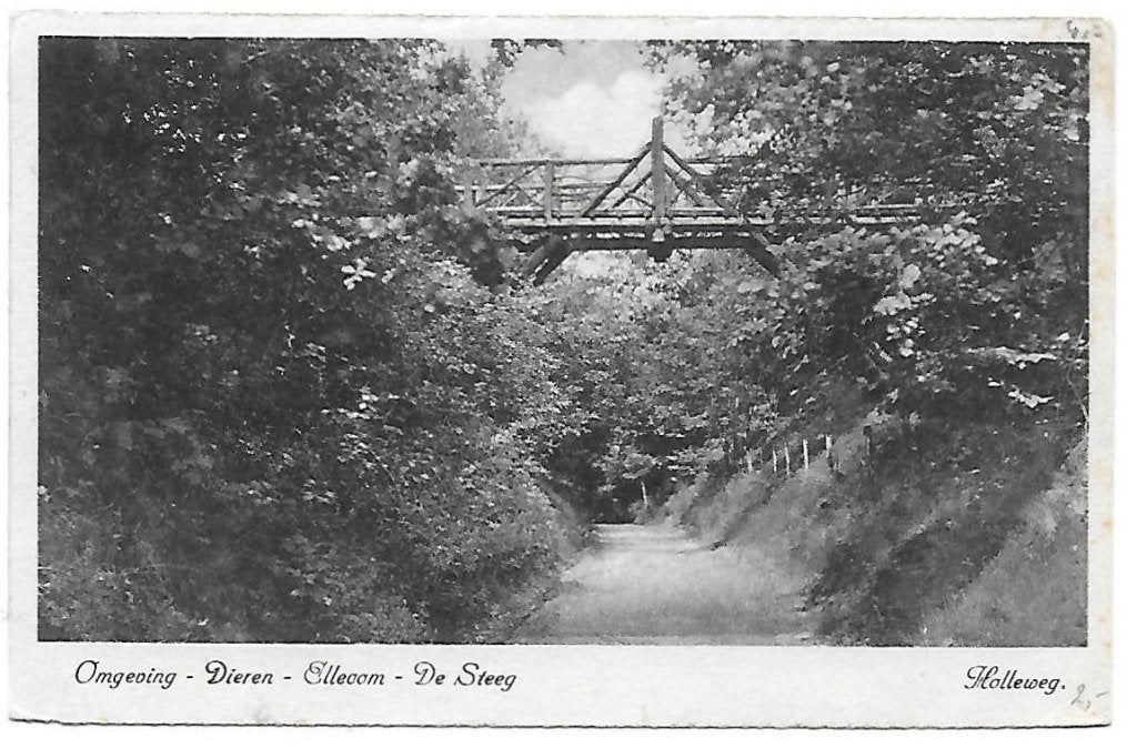 Dieren Ellecom Oude gelopen Ansichtkaart ( P824 ), Verzamelen, Ophalen of Verzenden, 1920 tot 1940, Gelopen, Gelderland
