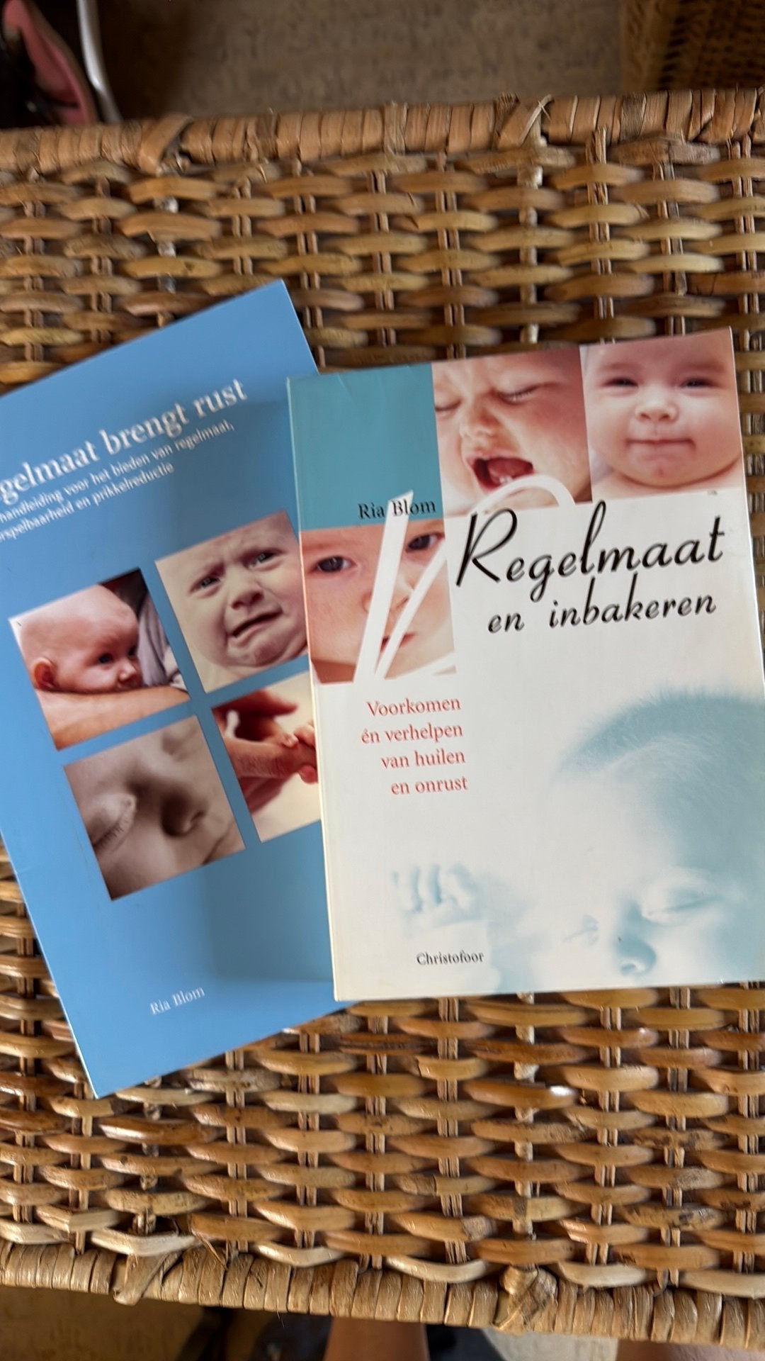 Ria Blom - Regelmaat en inbakeren, Boeken, Ophalen of Verzenden, Zo goed als nieuw, Zwangerschap en Bevalling