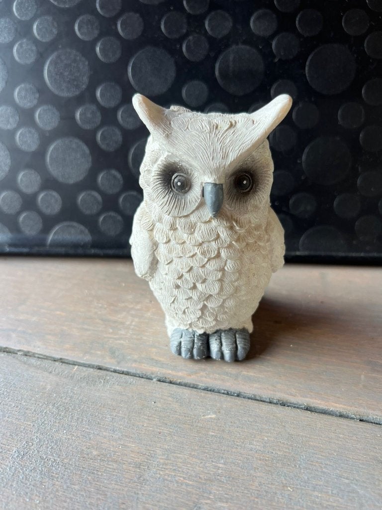 Witte uil beeld realistisch landelijk/scandinavisch Gifts, Overige materialen, Verzenden, Wit, Landelijk