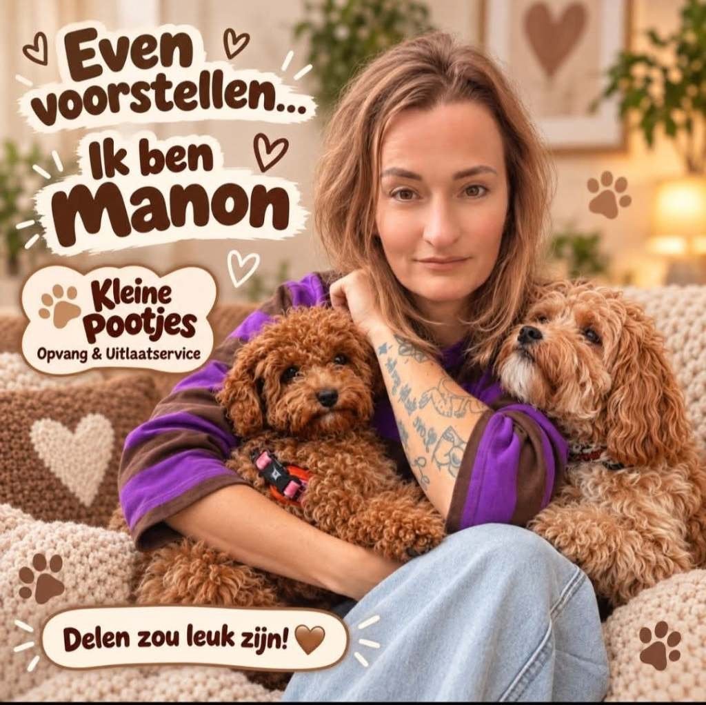 Hondenopvang & uitlaatservice Kampen en omgeving, Uitlaatservice