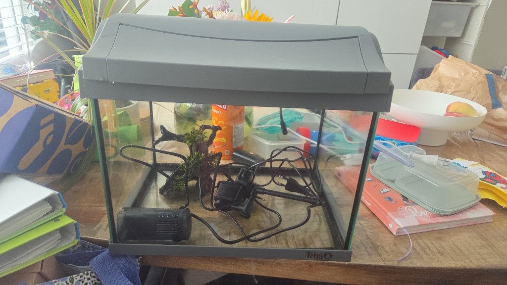 Aquarium tetra met verlichting en pomp + decoratie stuk, Dieren en Toebehoren, Vissen | Aquaria en Toebehoren, Ophalen, Zo goed als nieuw