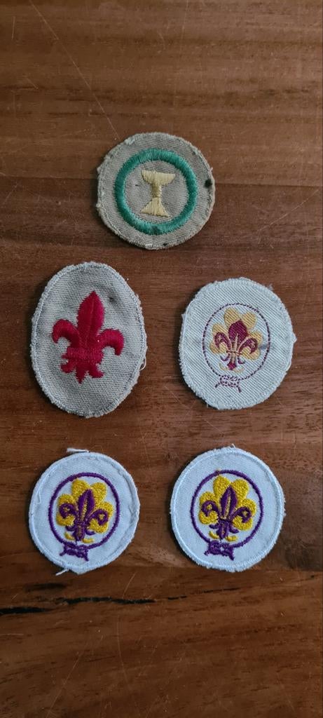 Vintage Scouting Emblemen Collectie, Ophalen of Verzenden, Gebruikt, Embleem, Speld of Insigne