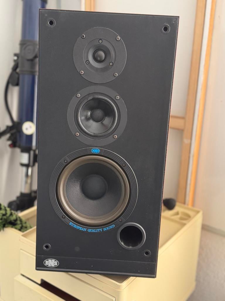 BNS E34 Luidsprekers - Perfecte Staat - 90W, Audio, Tv en Foto, Luidsprekers, Zo goed als nieuw, 60 tot 120 watt, Front, Rear of Stereo speakers