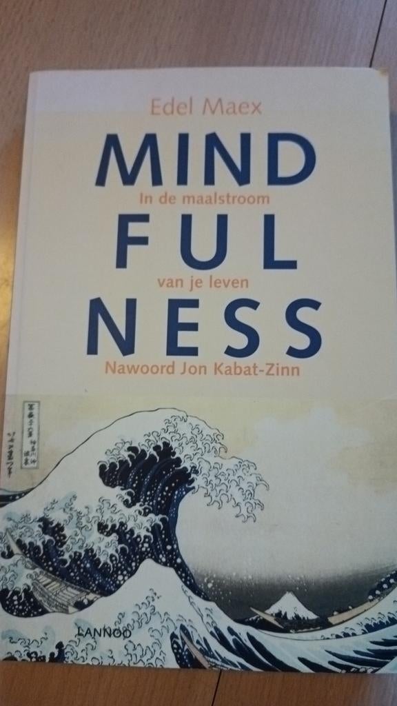 Mindfulness - Edel Maex, Boeken, Zo goed als nieuw, Meditatie of Yoga, Achtergrond en Informatie, Edel Maex