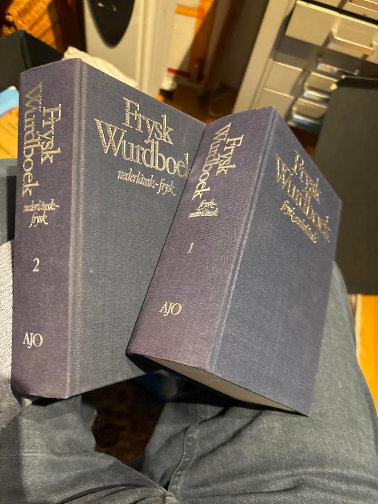 Fries nederlands woordenboeken, Ophalen of Verzenden