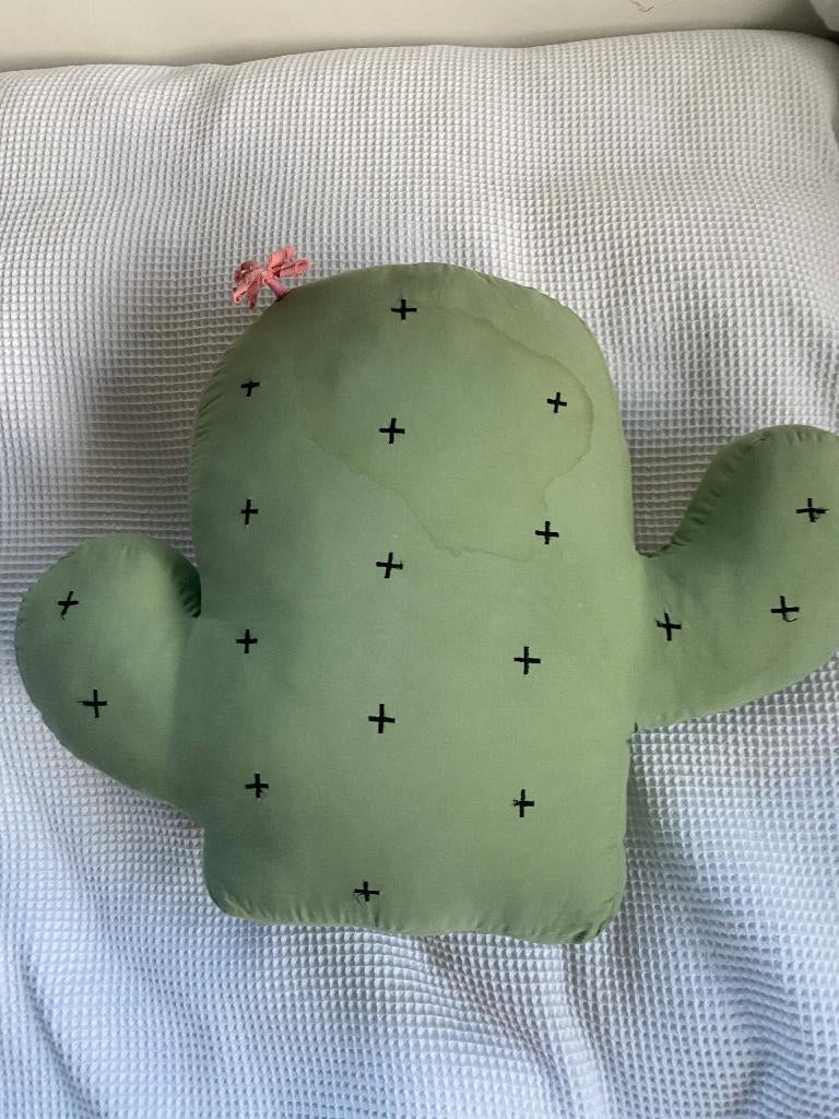 Cactus decoratie kussen, Ophalen of Verzenden, Gebruikt, Kleed of Kussen