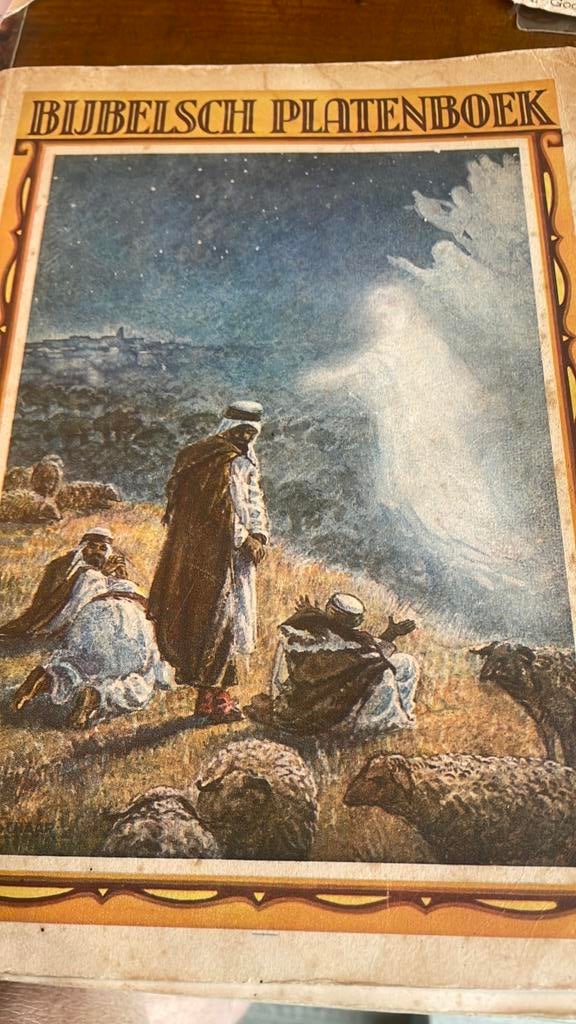 Bijbelsch platenboek oud antiek nog met oude spelling, Ophalen of Verzenden