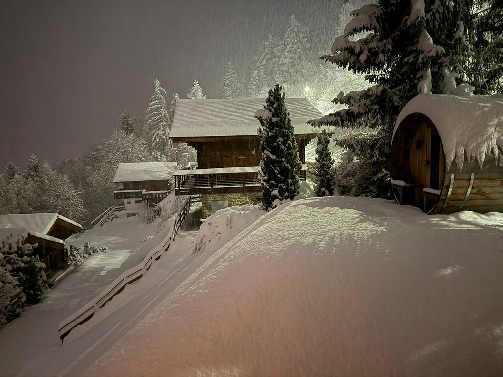 Sfeervol skichalet 6p H Nendaz 4 Vallées, EV charging, sauna, Vakantie, Dorp, In bergen of heuvels, Eigenaar, 6 personen