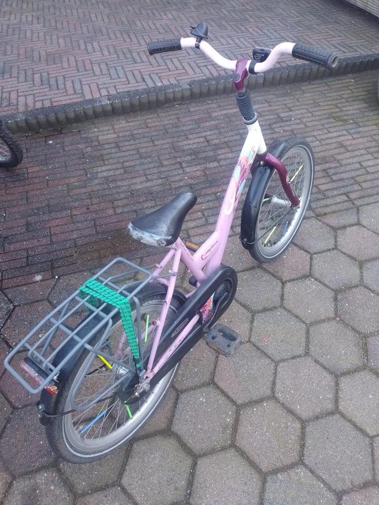 Leuke meisjes fiets, 20 inch Alpina., Ophalen, Gebruikt, 20 inch