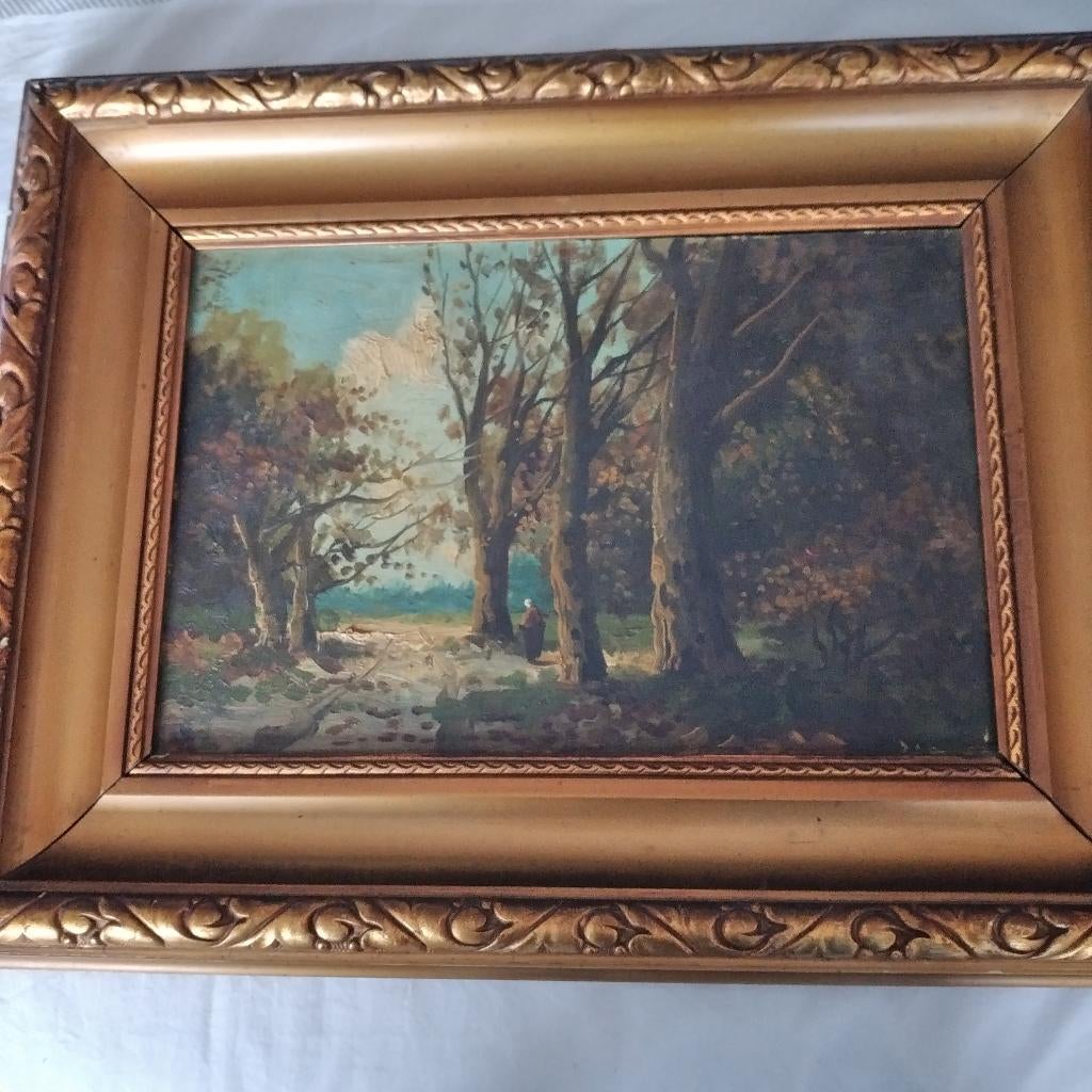 schilderij 40x30    lijst iets beschadigt   olieverf, Ophalen of Verzenden