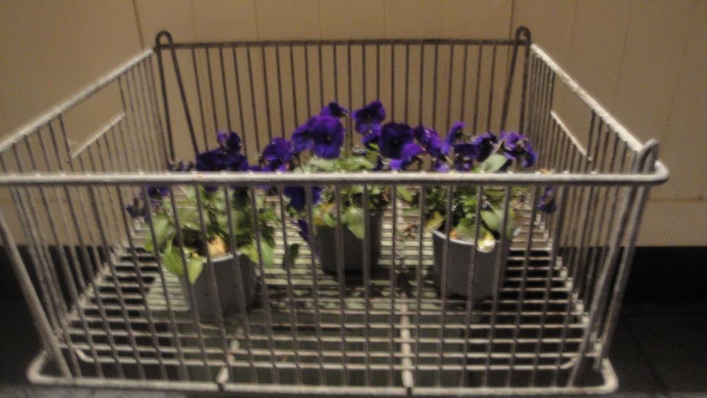 antieke krat mand leuk met bloemen, Ophalen of Verzenden