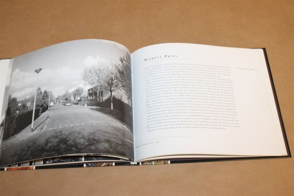 De Ploeg, Schilders in Hoogkerk — Groninger Kunstkring, Ophalen of Verzenden, Gelezen