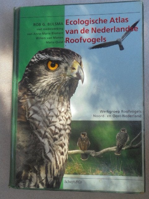 Nederlandse Roofvogels.(Ecologische Atlas)., Gelezen, Rob G. Bijlsma, Ophalen of Verzenden, Natuurwetenschap