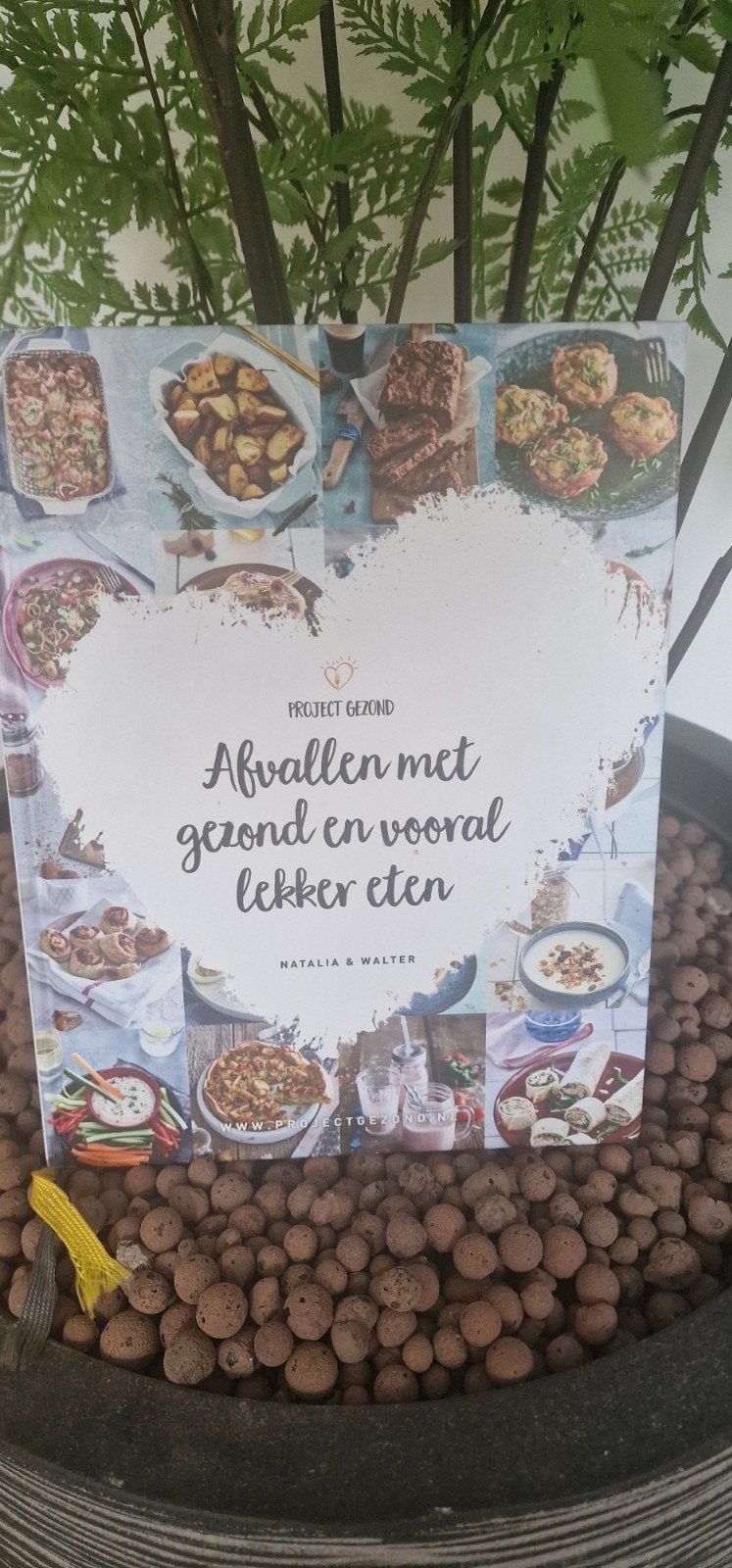 Project Gezond: Afvallen met gezond en vooral lekker eten, Ophalen of Verzenden, Gelezen, Dieet en Voeding, Natalia & Walter