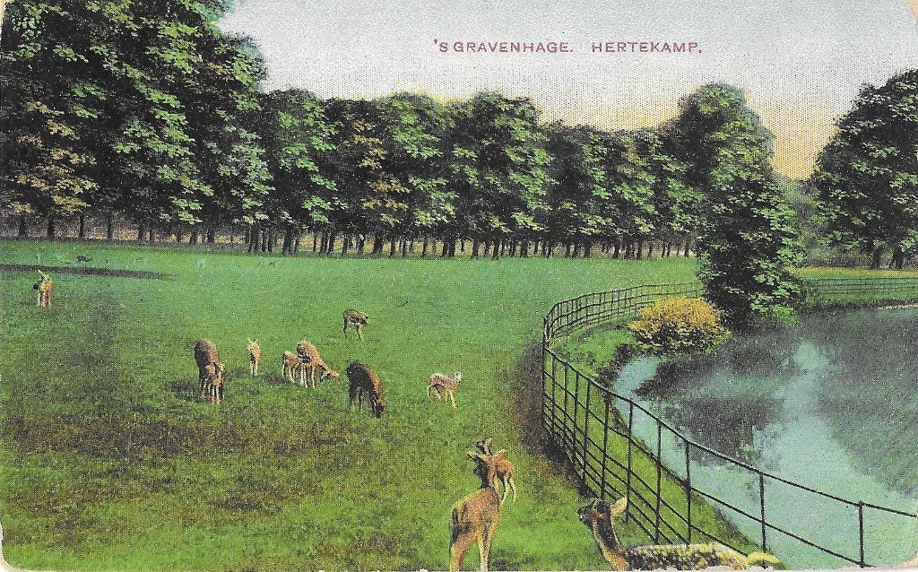 AK 's-Gravenhage - Hertekamp, Verzenden, Voor 1920, Gelopen, Zuid-Holland