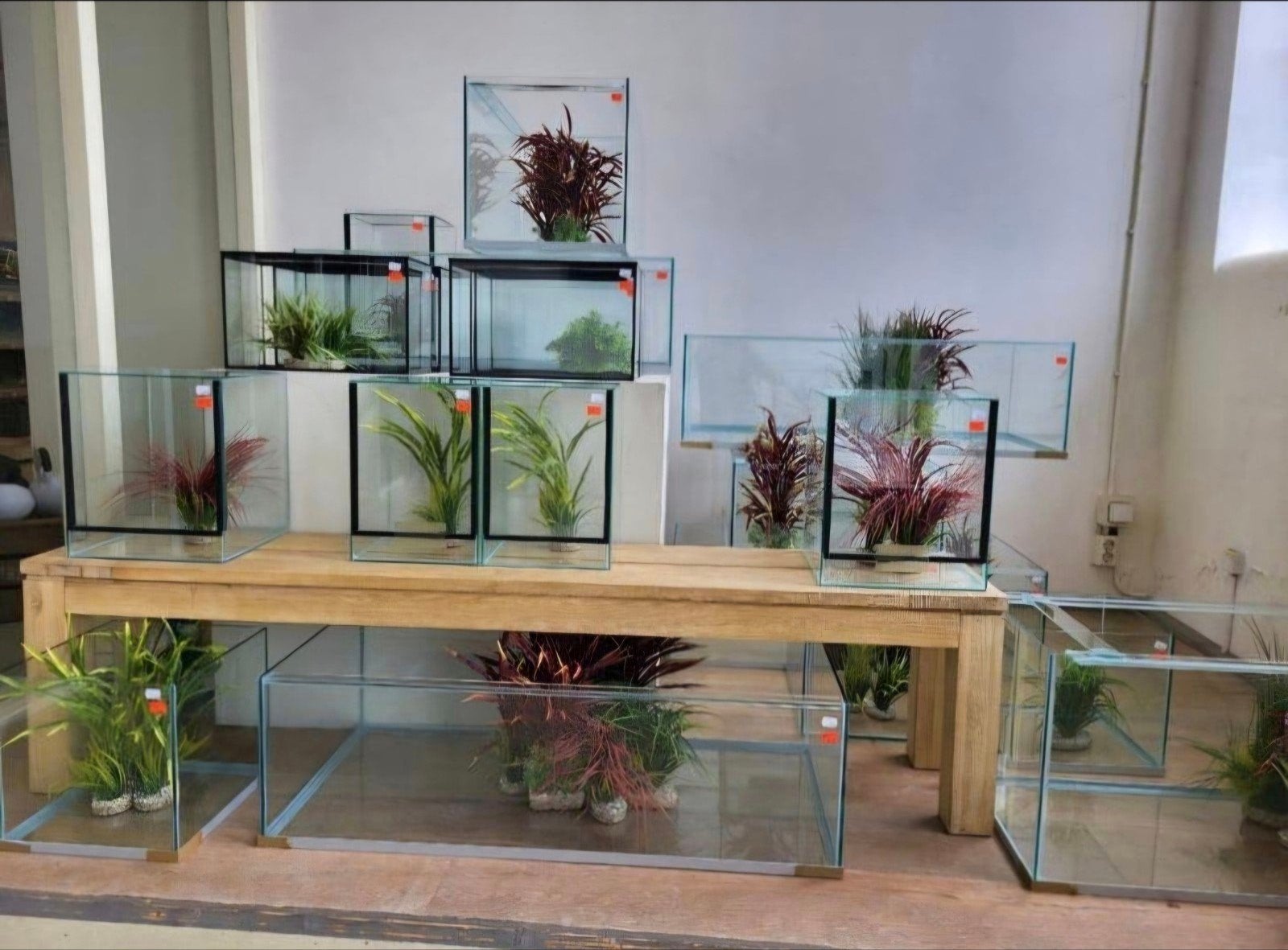 spinnenbakken, terraria en knaagdierverblijven, Ophalen, Nieuw, 110 cm of meer, Hok