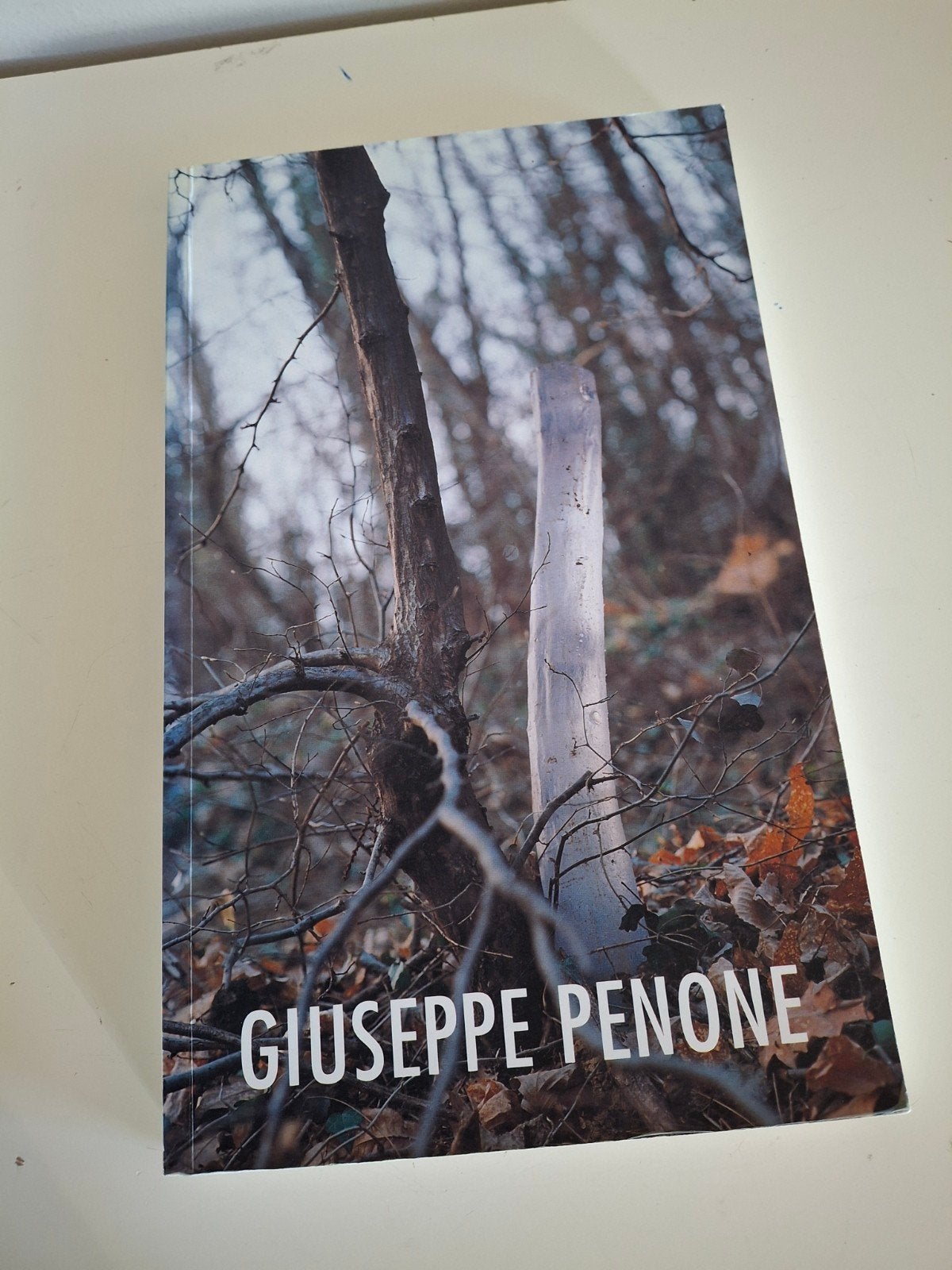 Giuseppe Penone - Kunstboek over Beeldhouwkunst, Ophalen of Verzenden, Zo goed als nieuw, Beeldhouwkunst, Giuseppe Penone