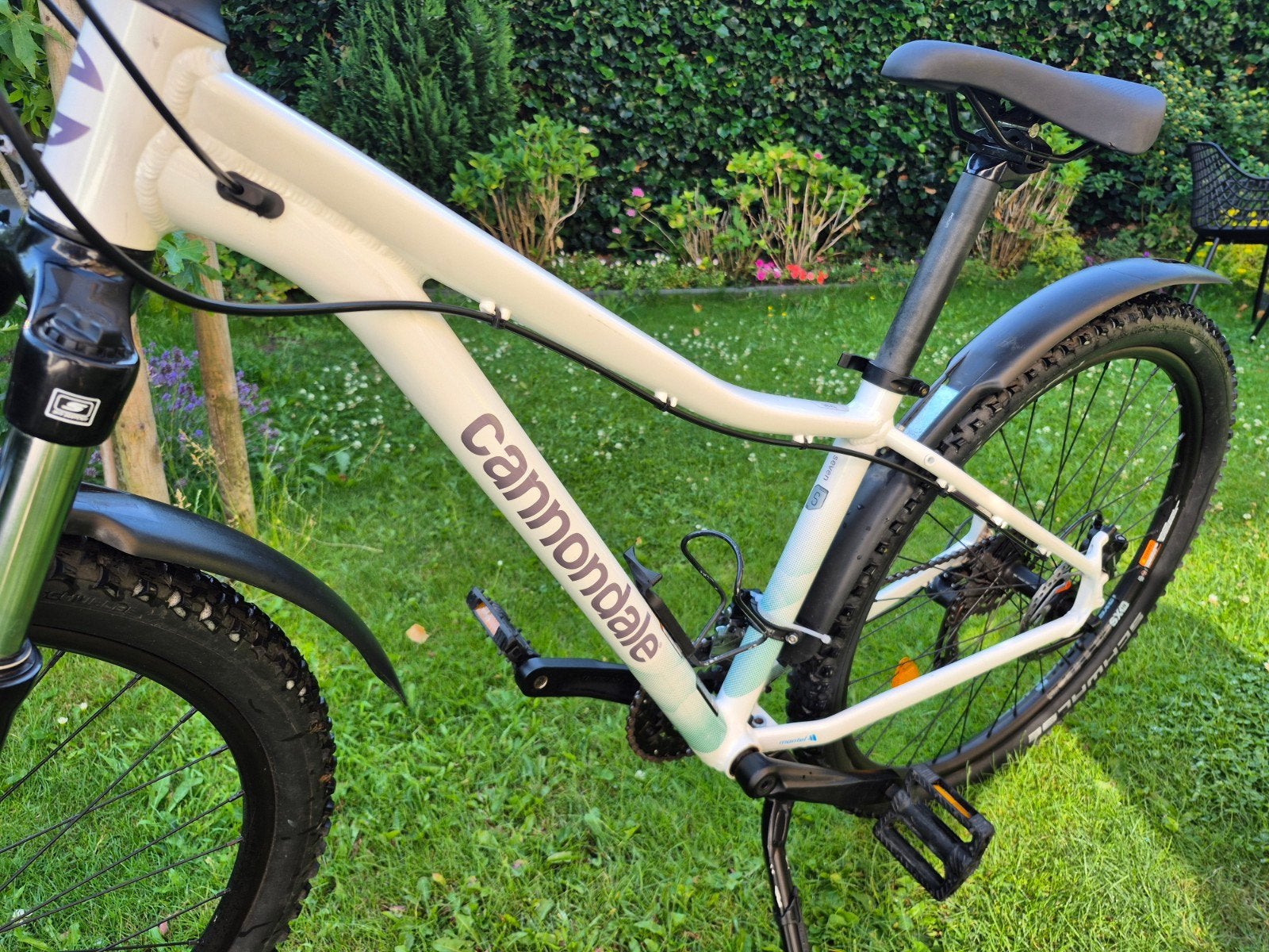 Cannondale Trail 7 Mountainbike - Maat S, Fietsen en Brommers, Fietsen | Mountainbikes en ATB, Hardtail, Zo goed als nieuw, Dames