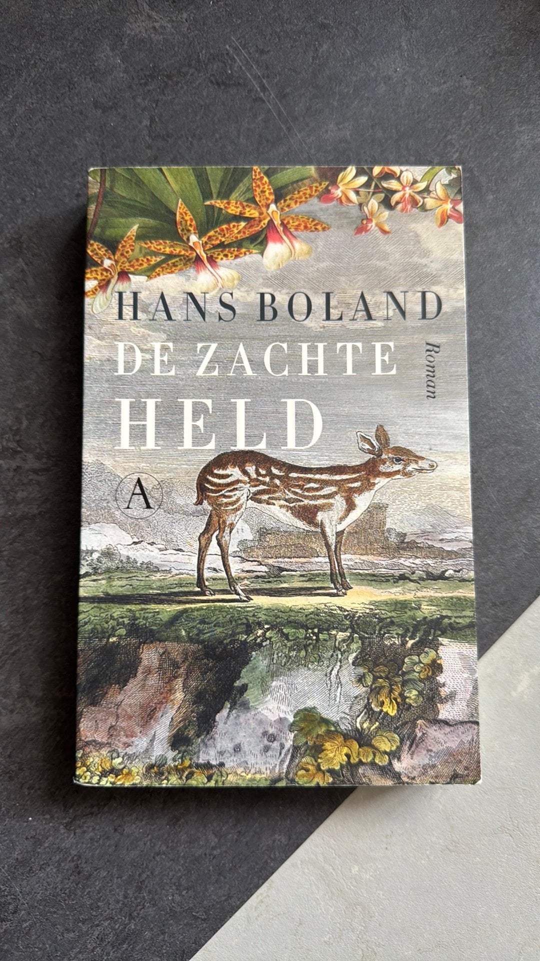 Hans Boland - De zachte held, Ophalen of Verzenden, Zo goed als nieuw, Hans Boland