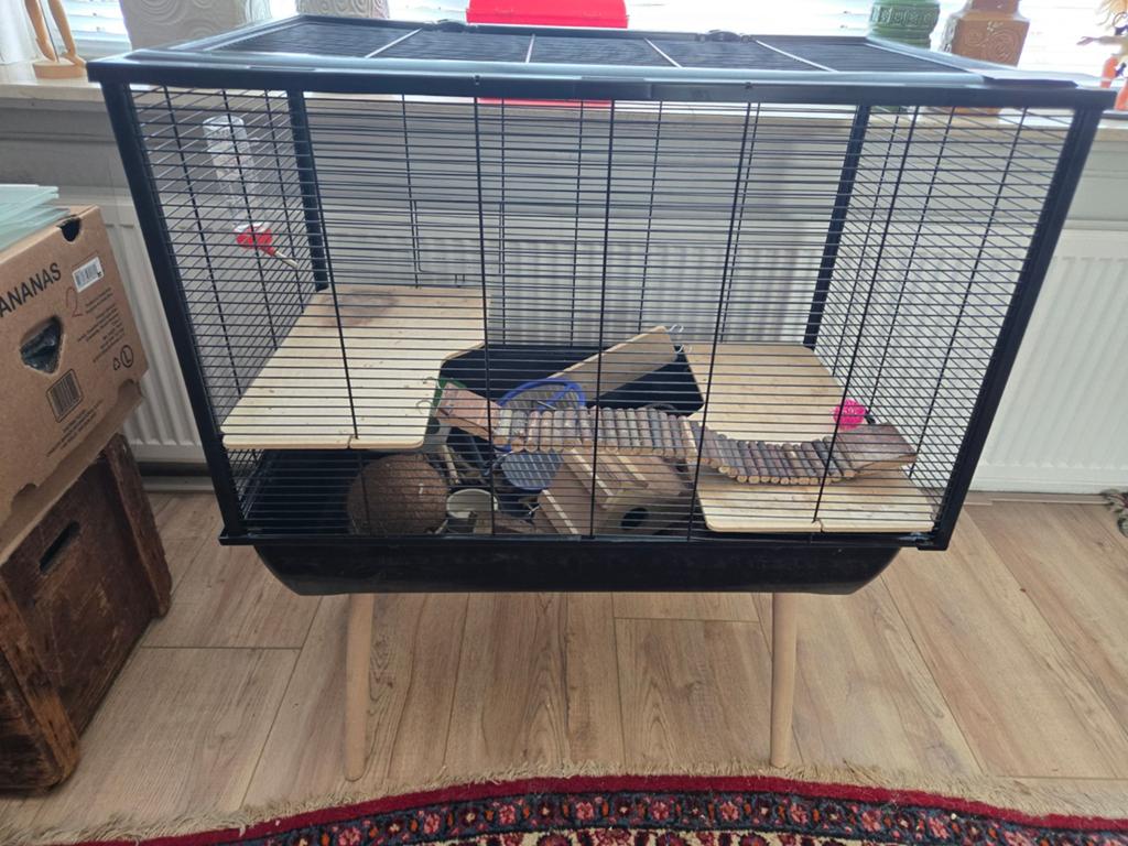 Hamsterkooi met toebehoren, Kooi, Minder dan 75 cm, Zo goed als nieuw, Ophalen