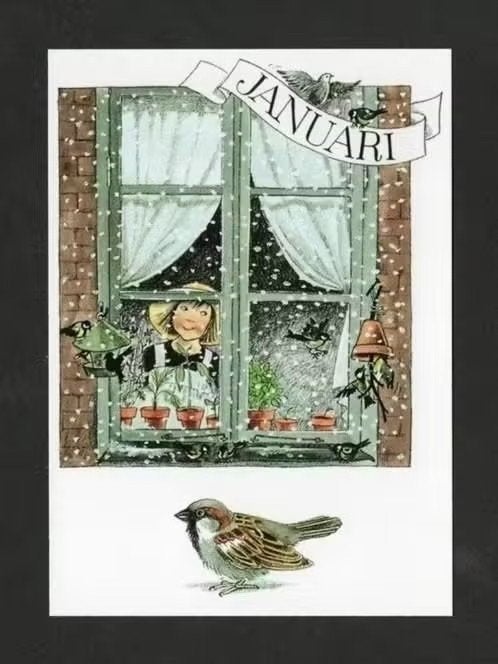Ansichtkaart Januari Sneeuw Mus Passeridae, Ophalen of Verzenden, 1980 tot heden, Ongelopen, Vogel