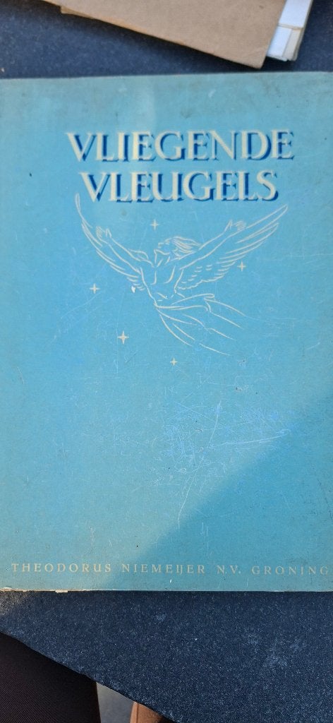 Boek Vliegende Vleugels, Ophalen of Verzenden, Gelezen, Steenderen, Plaatjesalbum