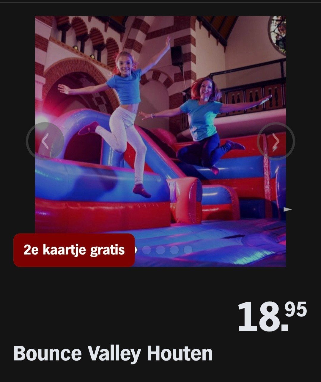 BOUNCE VALLEY HOUTEN ♡ 2e kaartje gratis (AH ACTIE), Overige soorten