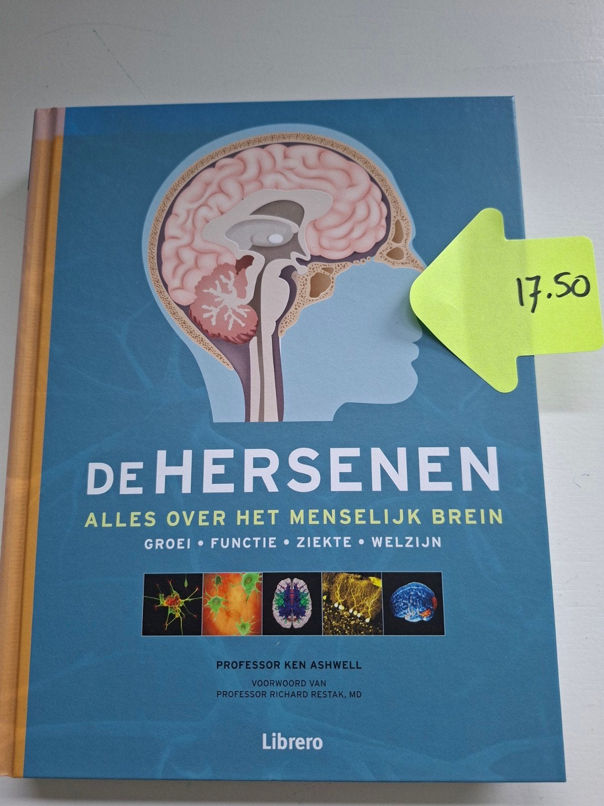 De hersenen, alles over het menselijk brein., Ophalen of Verzenden, Zo goed als nieuw, Ken Ashwell