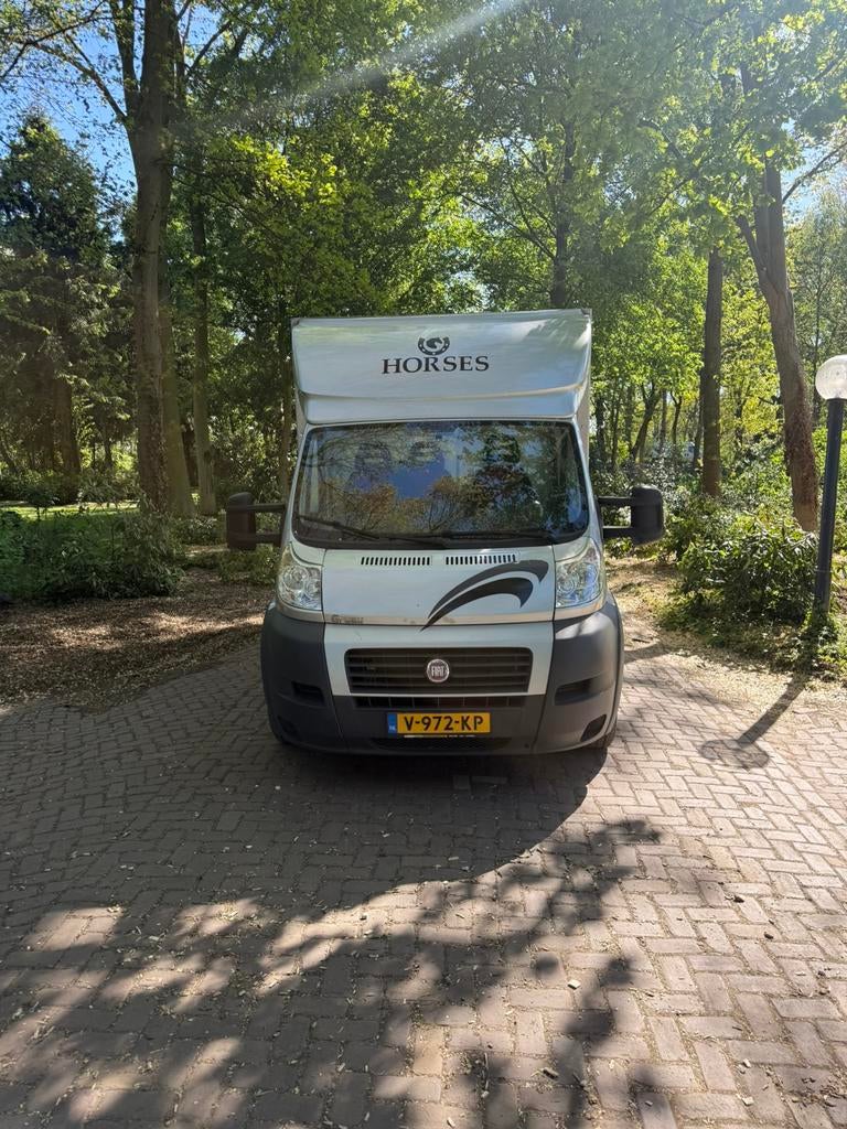 Paardenwagen Fiat Ducato 3,0liter180PK automaat 2013, Auto's, Bestelauto's, Bedrijf, Diesel, 2 stoelen, 177 pk