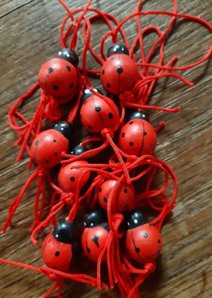 10 geluks lieveheersbeest van hout nieuw, Dieren, Nieuw, Knutselmateriaal, Rood
