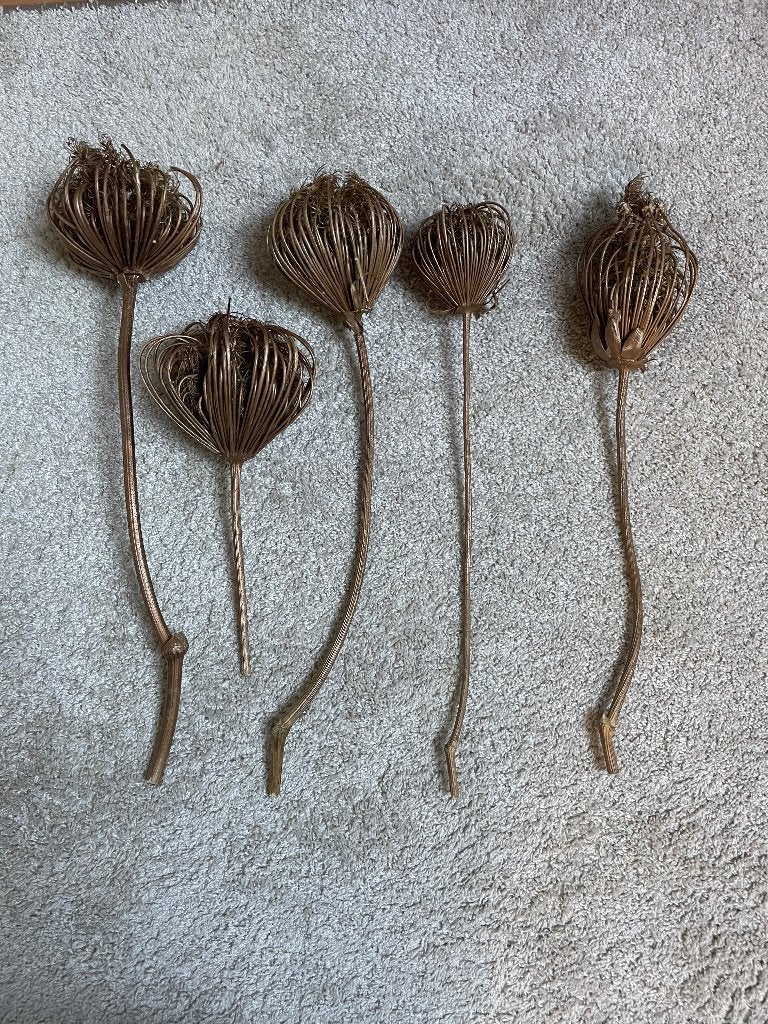 gedroogde bloemen, Ophalen of Verzenden, Zo goed als nieuw
