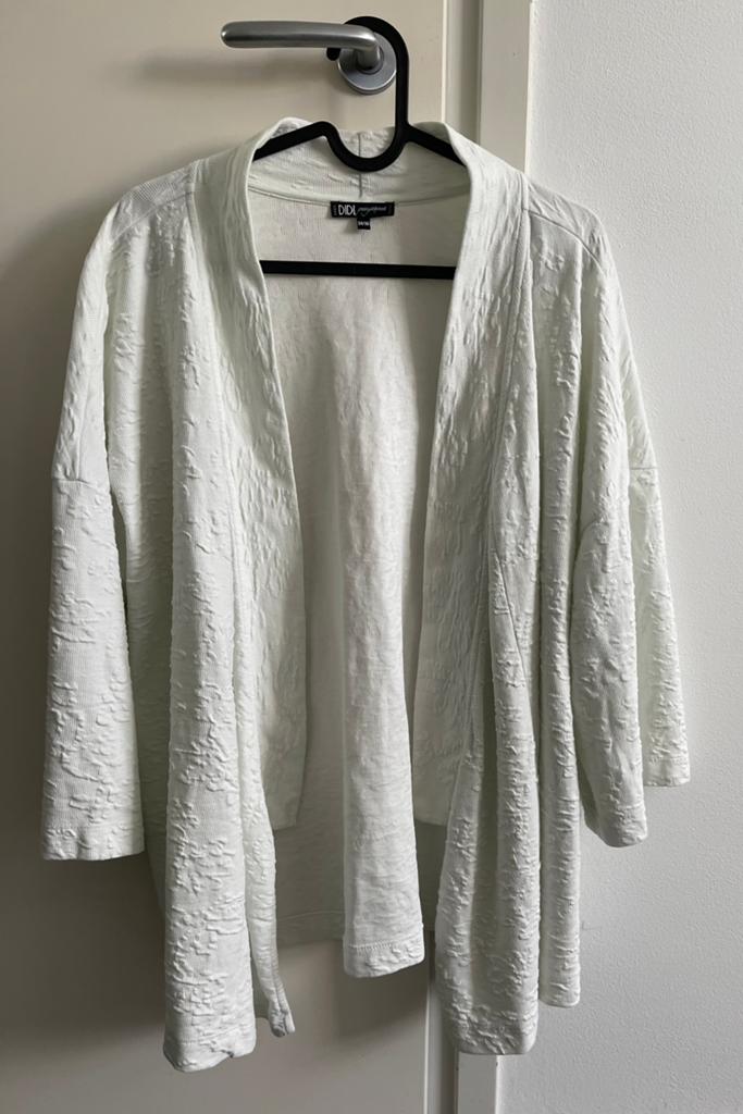 Wit vest van Didi, Kleding | Dames, Truien en Vesten, Ophalen of Verzenden, Zo goed als nieuw, Maat 36 (S), Wit
