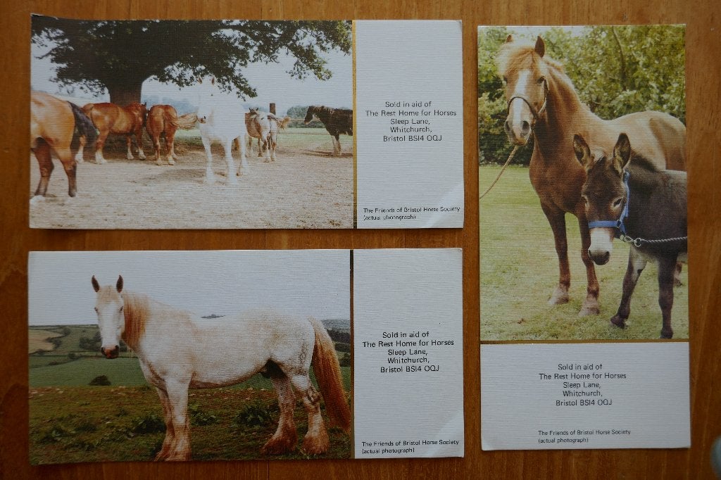 Bijzonder setje Paard en ezel: 3x Rest Home Horses Bristol, Ophalen of Verzenden, 1980 tot heden, Ongelopen, Paard