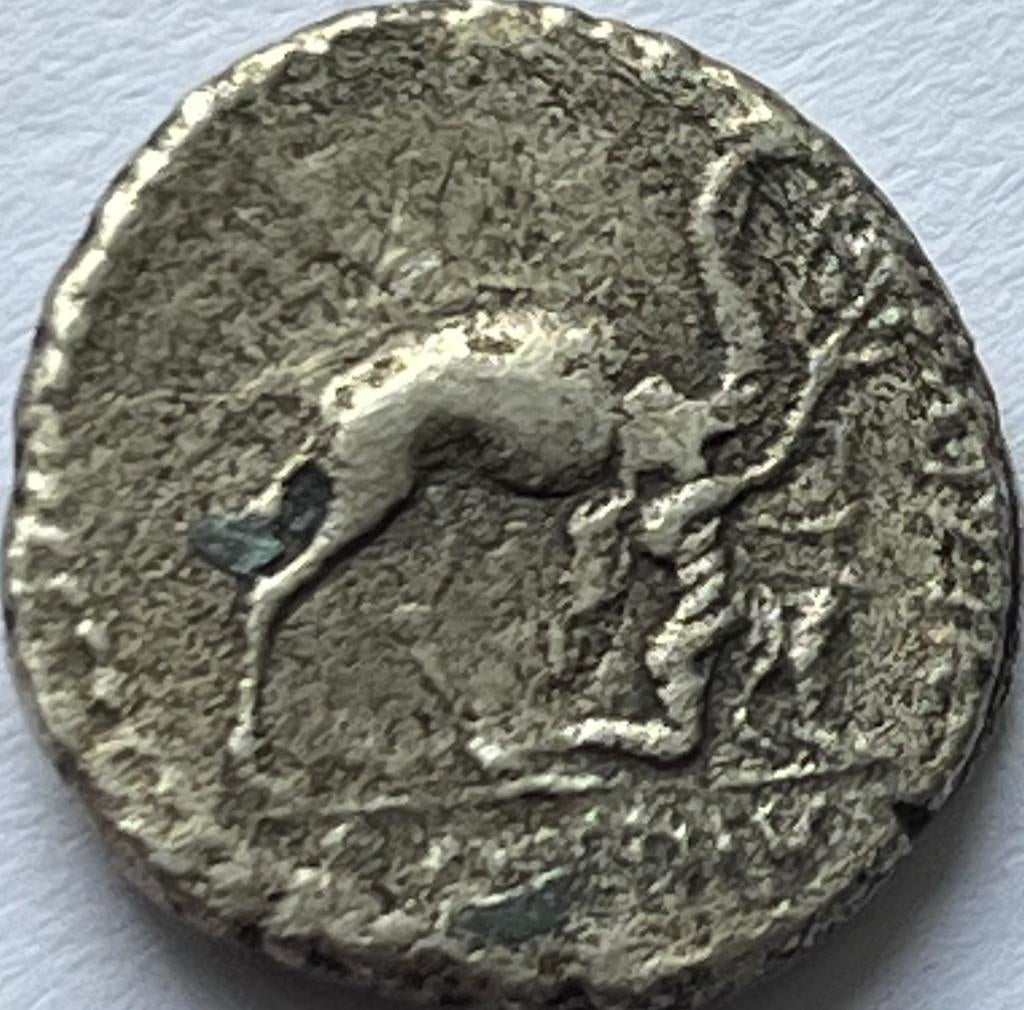 Romeinse Republiek zilveren denarius 55 voor Christus, Postzegels en Munten, Munten | Europa | Niet-Euromunten, Ophalen of Verzenden