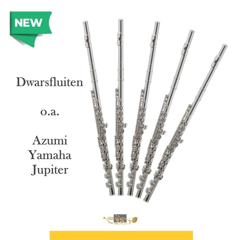 dwarsfluit verkoop en reparatie, Ophalen, Zo goed als nieuw, Dwarsfluit, Met koffer of tas