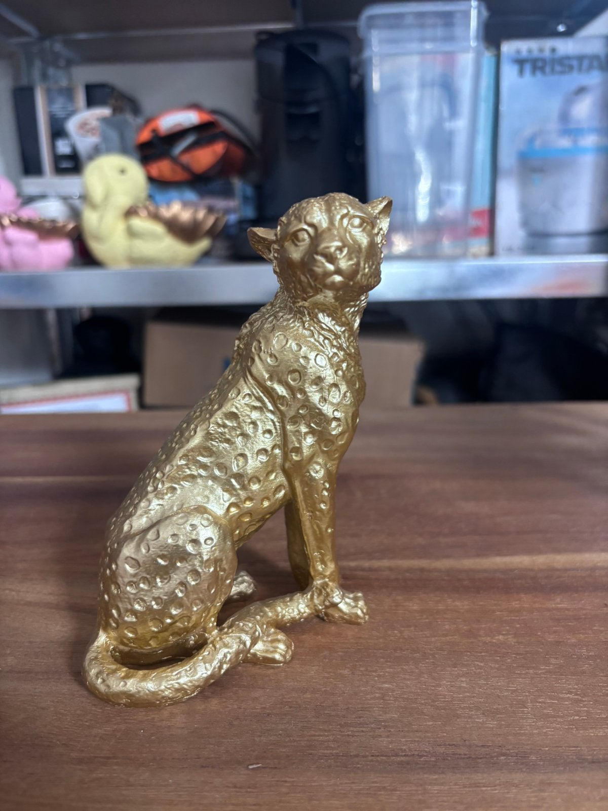 Gouden tijger., Ophalen of Verzenden, Zo goed als nieuw, Dier