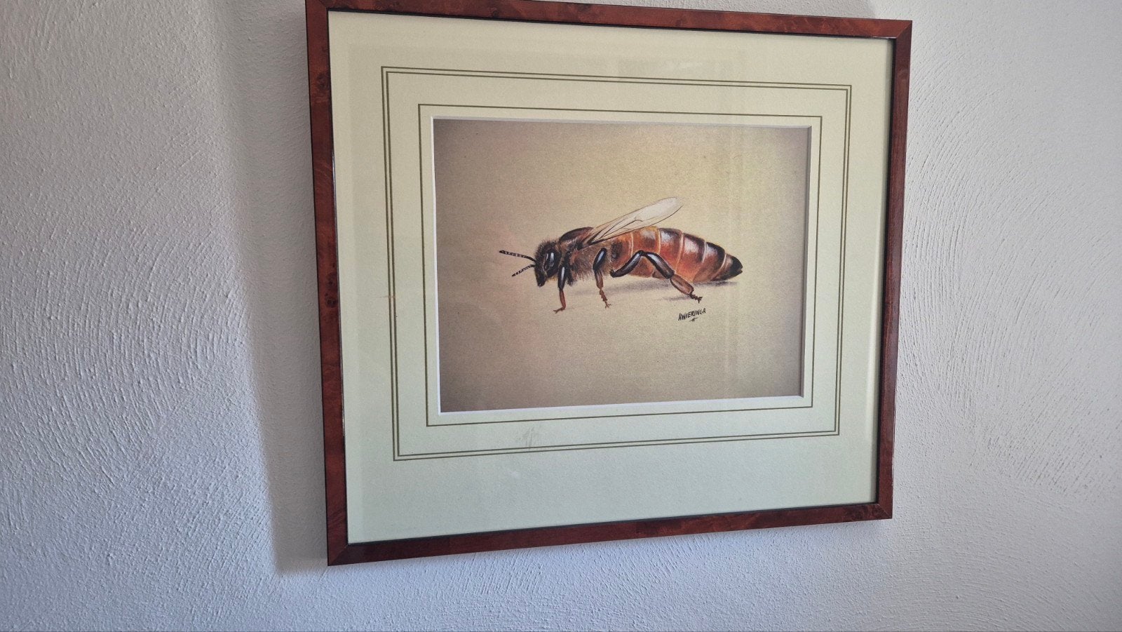 Buckfast koningin schilderij, Bijen