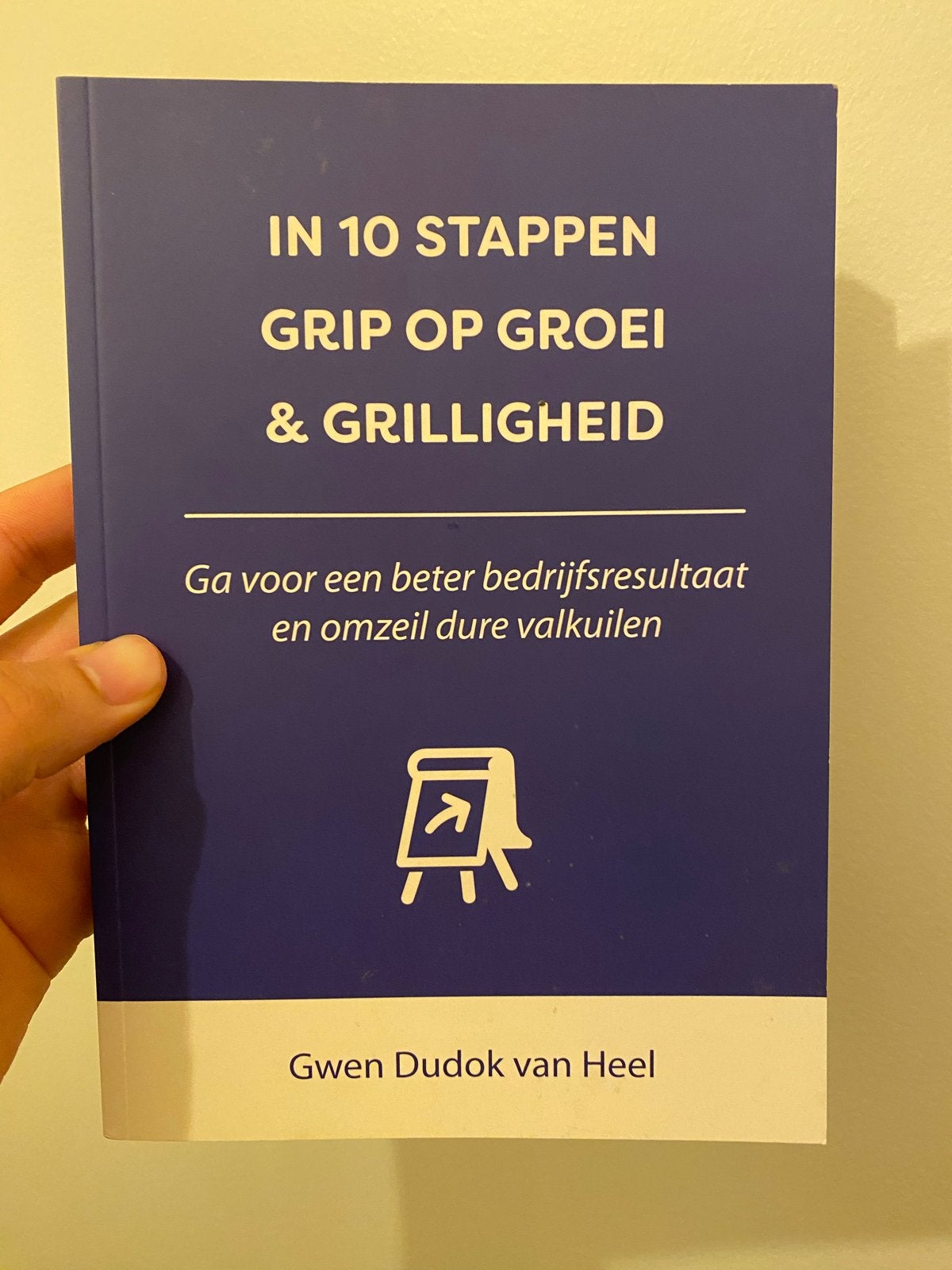 IN 10 STAPPEN GRIP OP GROEI & GRILLIGHEID, Ophalen of Verzenden, Zo goed als nieuw, Management