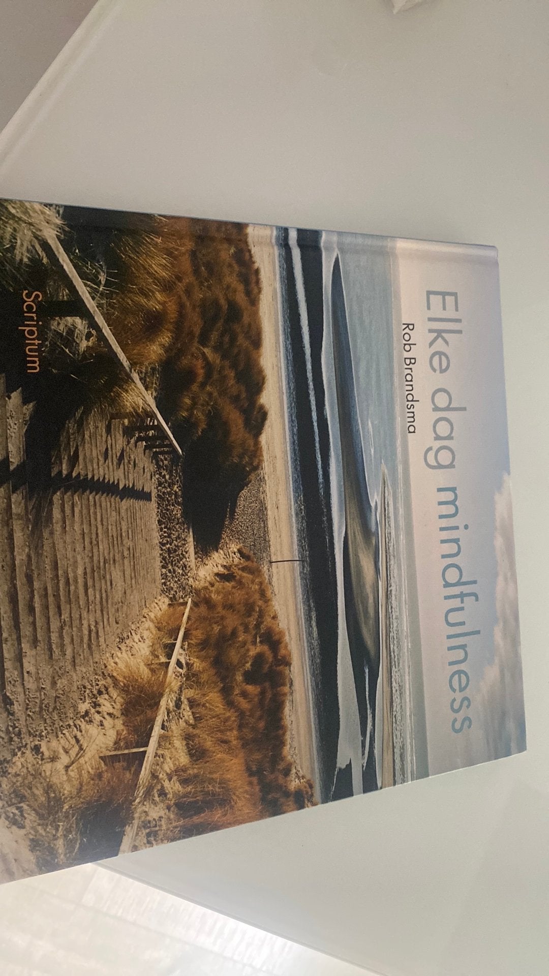 Elke dag mindfulness - Rob Brandsma (Scriptum), Boeken, Psychologie, Zo goed als nieuw, Overige onderwerpen, Ophalen of Verzenden