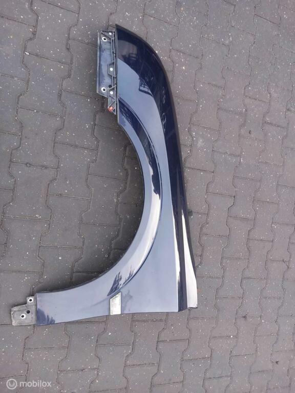Spatscherm Opel Vectra C, Gebruikt, Ophalen of Verzenden