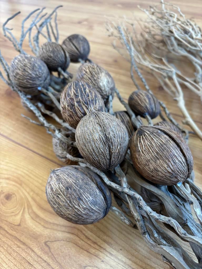 Decoratieve takken, Ophalen, Gebruikt, Landelijk, Natuurlijk materiaal