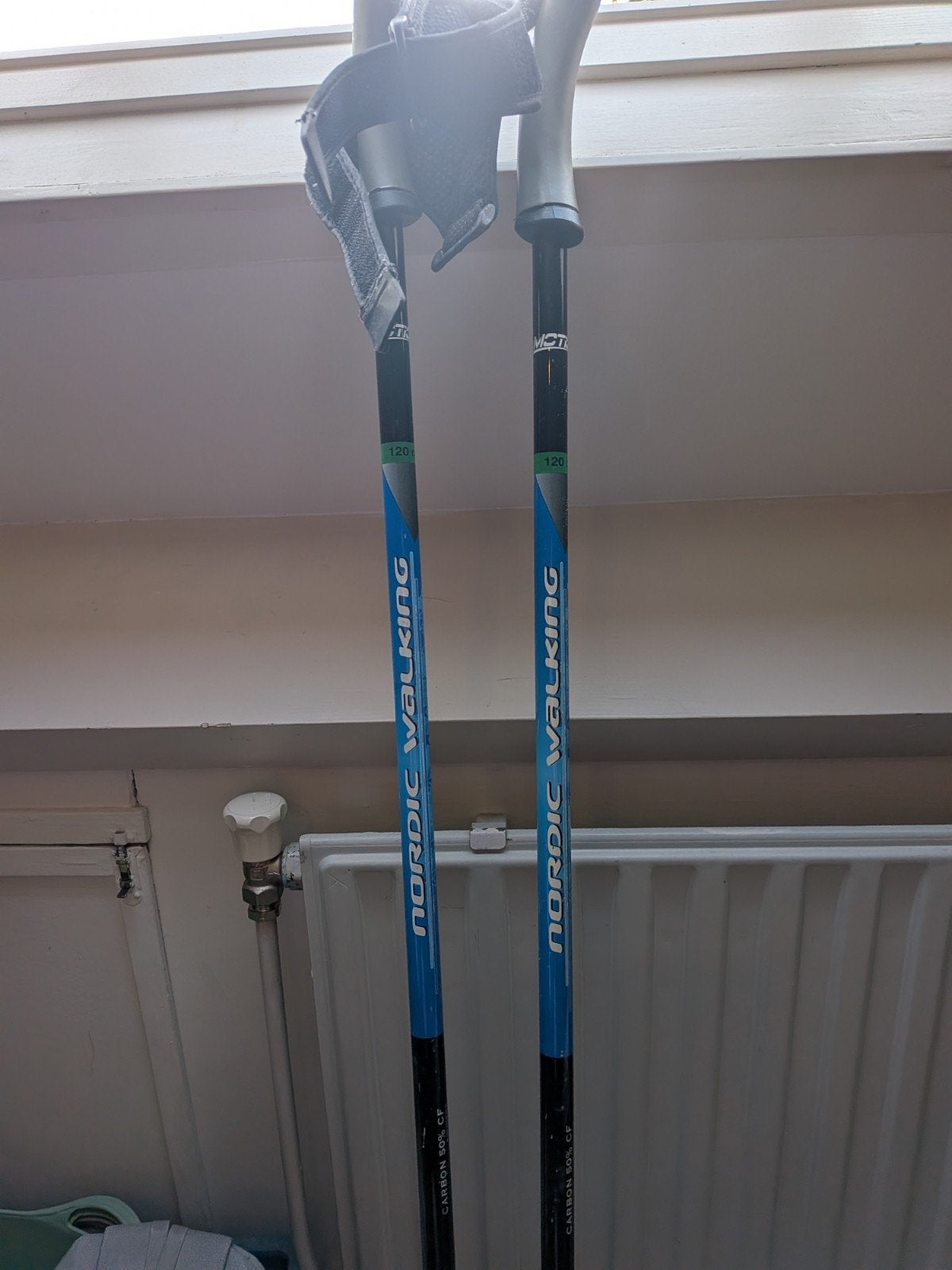 Nordic Walking stokken 120 cm - Prima staat, Sport en Fitness, Ophalen of Verzenden, Gebruikt, Wandelstok