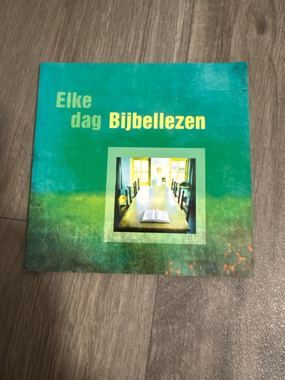 Elke dag Bijbellezen - Inspirerend boek, Ophalen of Verzenden, Zo goed als nieuw, Christendom | Protestants