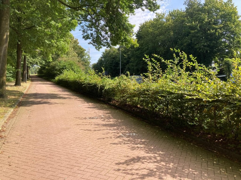 gebruikte betonklinkers bkk heide rood, Tuin en Terras, Tegels en Klinkers, Ophalen of Verzenden, Gebruikt, Beton, Klinkers