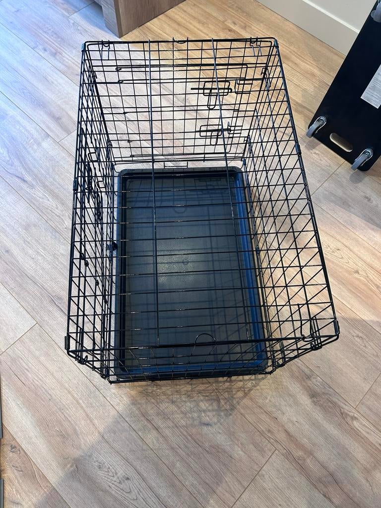 Puppy pakket, Dieren en Toebehoren, Ophalen of Verzenden, Nieuw
