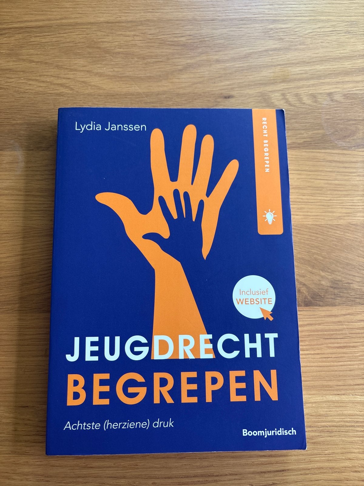 Jeugdrecht Begrepen - Lydia Janssen (8e druk), Boeken, Studieboeken en Cursussen, Ophalen of Verzenden, Gamma, Zo goed als nieuw